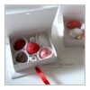 scatoline libro laurea con confetti papa, mucci, orefice