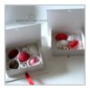 scatoline libro laurea con confetti papa, mucci, orefice